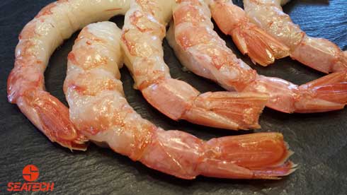 A photograph of Argentine red shrimp peeled tail on.