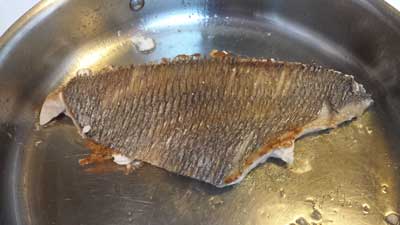A photograph of a Chilean pomfret fillet cooking skin side up.