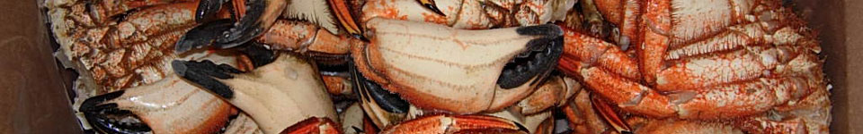 A photograph of cooked Chilean crab clusters.
